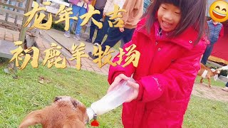 初鹿親子羊牧場露營區｜台東縣卑南鄉｜營區有餵羊體驗｜鹿野高台滑草｜2024／2／10 春節三天兩夜｜# 35露