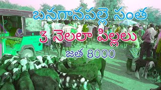 బనగానపల్లె సంత FRIDAY BANAGANAPALLI Santha