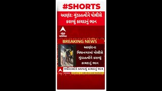 Anand News | આણંદના વિદ્યાનગરમાં પોલીસે ગુંડાતત્વોને કરાવ્યું કાયદાનું ભાન