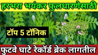 हरभरा भयंकर फुलोऱ्यासाठी 5 बेस्ट टॉनिक|Harbhara Fule lagnyasati tonic|हरभरा फुटवा करण्यासाठी फवारणी