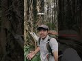 Part 2 | Solo Camping Di Gunung Salak #pendaki #gunung #ytshorts