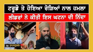 Trudeau ਤੇ ਹੋਇਆ ਹਮਲਾ , ਸਿੰਘ ਆਇਆ ਟਰੂਡੋ ਦੇ ਹੱਕ 'ਚ  || CANADA PUNJABI NEWS