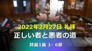 2022年2月27日 礼拝「正しい者と悪者の道」詩篇 1:1-6