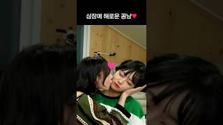 (QWER Shorts) 방송에서 사심채우는 쵸단과 젠타🥰