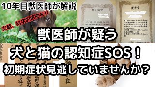 その行動、愛犬・愛猫の認知症！？見逃せない初期症状とは？【獣医が解説】 #犬 #猫 #獣医 #犬 #愛犬 #猫好きさんと繋がりたい #いぬのいる生活 #猫のいる暮らし #いぬ #ねこ #かわいい犬