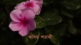 আমি তখন ছিলেম মগন গহন ঘুমের ঘোরে  -  কলিম শরাফী