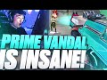 This is why you use the Prime Vandal...