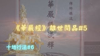 【華嚴經】離世間品十地行法#6