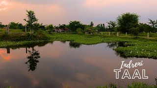 Indreni Taal | Damak | Promote Tourism