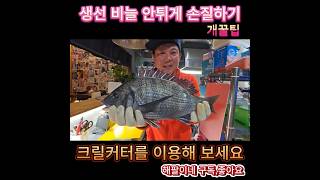 생선 비늘 안튀게 손질하는법 #fishing #낚시 #감성돔손질 #비늘치기 #감성돔낚시