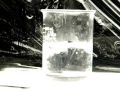 Lithium Reacts with Water