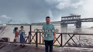 黄河为什么称为母亲河？#黄河 #母亲河#旅游