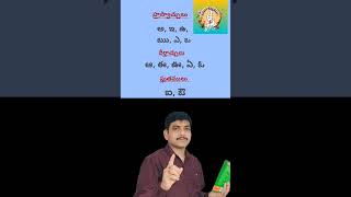 తెలుగు వ్యాకరణం