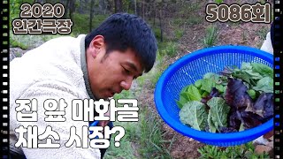 [매화골 윤서방네 삼시세끼] (12/15) [인간극장/Screening Humanity] | KBS 210617 방송