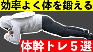 【体幹トレーニング】トレーナーが教える自分に必要な種目とやり方