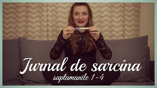 JURNAL DE SARCINA | saptamanile 1-4 | Kinga