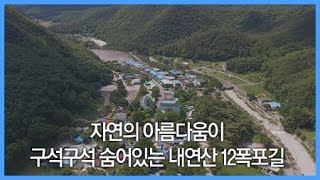 천혜의 비경이 숨어있는곳! 자연의 아름다움이 구석구석 숨어있는 내연산 12폭포길 / YTN 라이프