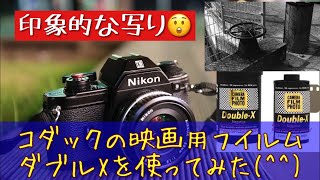 ノスタルジックな写り？　映画用モノクロフィルム、コダックダブルエックスを使って撮影してきました。 #モノクロネガフィルム #フイルムカメラ #フィルム写真 #ニコンEM