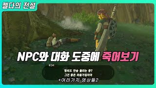 NPC와 대화 도중에 죽어보기 + 여러 가지 영상들2 (젤다의 전설 야생의 숨결)