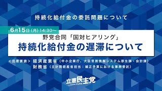 2020年6月15日 野党合同国対ヒアリング「持続化給付金の遅滞について」