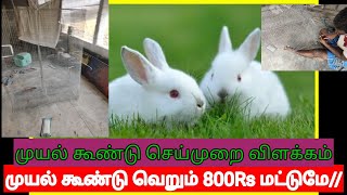 Build #Rabbit Cage  for own purpose I #முயல் கூண்டு செய்முறை | Rabbit very Low cost rs800 Only Tamil