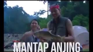 Mata pancing | mantap anjing