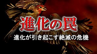 【ゆっくり解説】裏目に出た進化