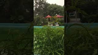 Attractive venue in Dinajpur, Bangladesh. #dinajpur #park #resort #beautiful #attractive #best