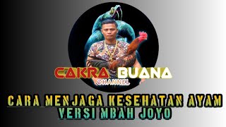 cara Mbah Joyo menjaga peternakan ayamnya menjadi sehat . jangan lupa Subscribe dan like ya bosku..🙏