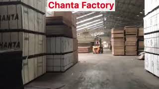 shandong chanta plywood factory|the top 3 plywood supplier in china