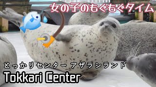 【とっかりセンター⑤】It's time to feed the seals.【女の子のエサの時間】