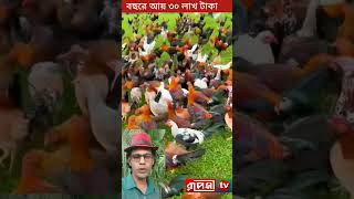 বছরে ৩০ লাখ টাকা আয়। দেশি মুরগীর খামার।  Chicken farm #reelsvideoシ #trend #videos #animals #shorts