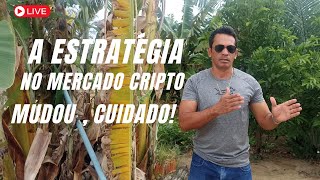 CUIDADO: A ESTRATÉGIA NO MERCADO CRIPTO MUDOU PARA ALTSEASON 2025