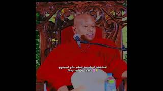 🔅ආදරෙන් ඉන්න අම්මව එක වේලක් බඩගින්නෙ තියලා ඇතිවුණු කර්මය.🌸🙏