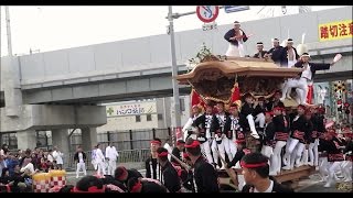 平成28年 東岸和田だんじり祭Danjiri Matsuri2016/10/09