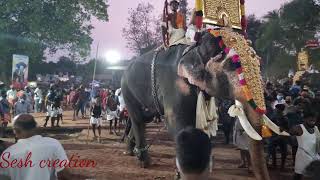 എളുമ്പുലാശ്ശേരി പൂരം 2021 elambulassery nalussery Pooram part 4