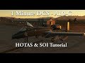 1 Minute DCS - A10C - HOTAS & SOI Tutorial