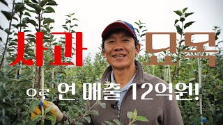 [역전의 부자농부 323회] 사과 묘목으로 연 매출 12억 원! 경북 문경 홍우진 부자농부