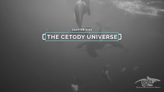 THE CETODY UNIVERSE - THE HEALING SOUNDS OF ORCAS AND WHALES