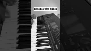 UNİ - PROBA ACORDEON KUCKEK 2023