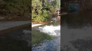 Ubbalamadugu Waterfalls Andhrapradesh