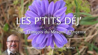 755 - Les P'tits déj' spirituels - L'Éternel est roi à perpétuité - Psaume 10.16-18