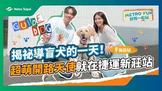 揭祕導盲犬的一天！超萌開路天使就在捷運新莊站 | 台北捷運Metro Taipei