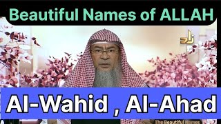 Beautiful Names of ALLAH - Al-Wahid, Al-Ahad | Sheikh Assim Al Hakeem