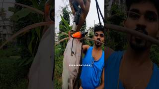 🥵മഴയത്തു കിട്ടിയ സാധനം |  #youtubeshorts #shortsbeta #fishingvlogs3930