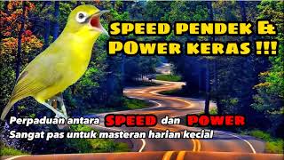 SPEED PENDEK & POWER KERAS !!! || MASTERAN KECIAL TERBAIK DIJAMIN KECIAL LAIN JADI GACOR !!!