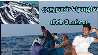 ஒரு நாள் தொழில்/ எவ்ளோ மீன் பிடிச்சிருக்கோனு பாருங்க 💪 /one day fishing vlog 😍