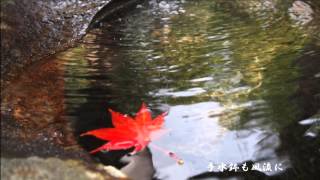 大智寺の紅葉と真長寺の枯山水石庭