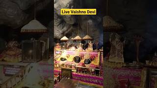 vaishno devi live darshan 🙏 #vaishnodevi #shorts #trending