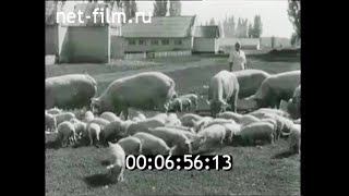 1969г. колхоз Кавказ Курганинский район Краснодарский край